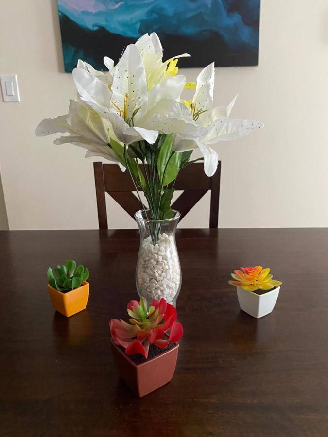 Private In South Philly Near Arenas! Homestay *